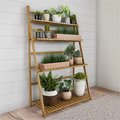 Pure Garden 4 Tier Freestanding Bamboo Storage Shelf Ladder Plant Stand; Natural Wood 50-LG5005